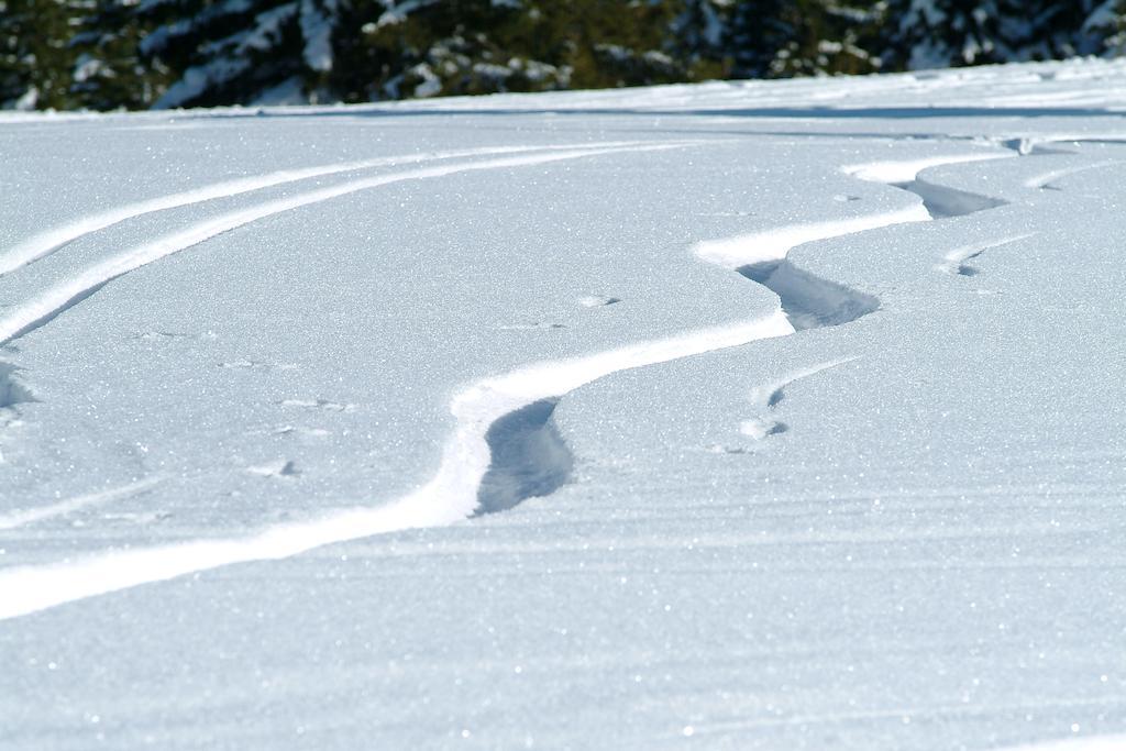 Grundnerhof Βίλα Arriach Εξωτερικό φωτογραφία