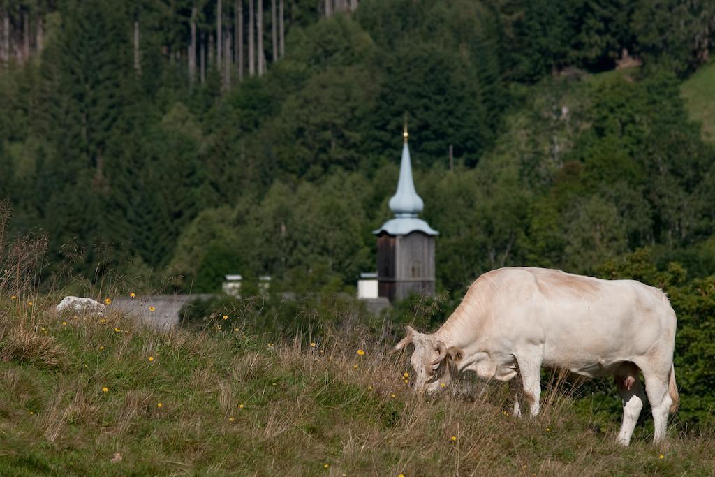 Grundnerhof Βίλα Arriach Εξωτερικό φωτογραφία