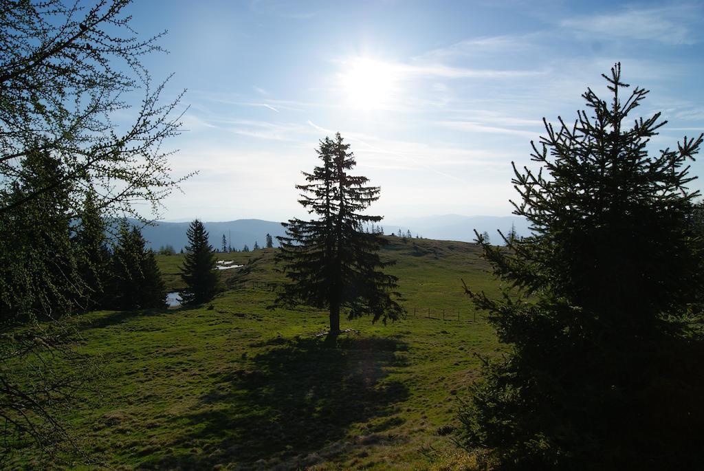 Grundnerhof Βίλα Arriach Εξωτερικό φωτογραφία